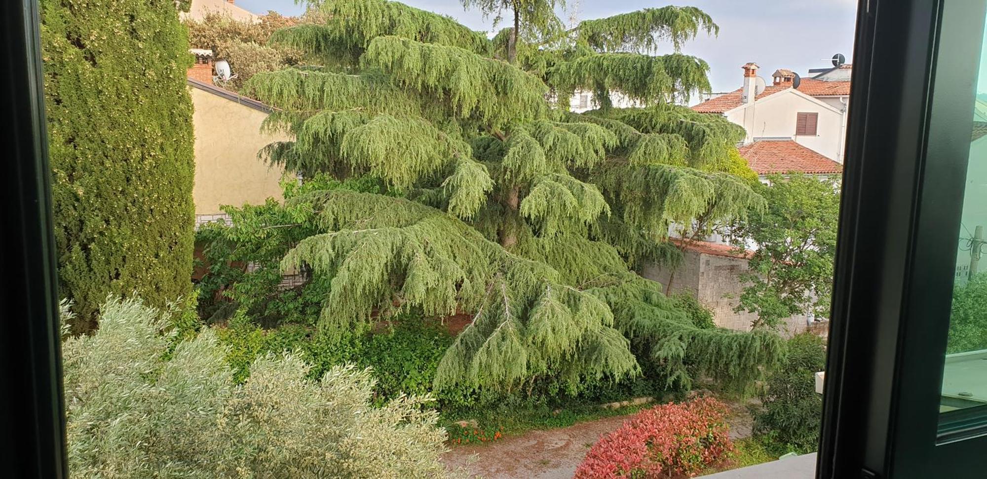 Adri, Parking In The Yard Appartement *